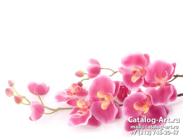 Pink orchids 8